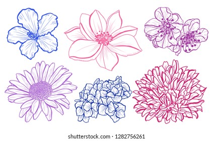 Decorative  flowers set, design elements. Can be used for cards, invitations, banners, posters, print design. Floral background in line art style