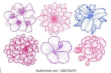 Decorative  flowers set, design elements. Can be used for cards, invitations, banners, posters, print design. Floral background in line art style
