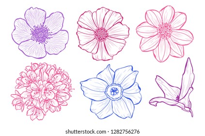 Decorative  flowers set, design elements. Can be used for cards, invitations, banners, posters, print design. Floral background in line art style