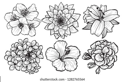 Decorative  flowers set, design elements. Can be used for cards, invitations, banners, posters, print design. Floral background in line art style