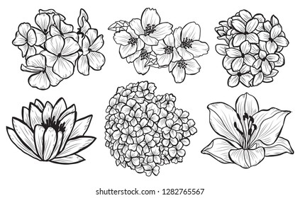 Decorative  flowers set, design elements. Can be used for cards, invitations, banners, posters, print design. Floral background in line art style