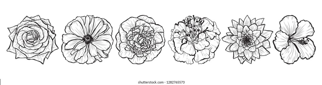 Decorative flowers set, design elements. Can be used for cards, invitations, banners, posters, print design. Floral background in line art style