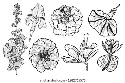 Decorative  flowers set, design elements. Can be used for cards, invitations, banners, posters, print design. Floral background in line art style