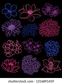 Decorative  flowers set, design elements. Can be used for cards, invitations, banners, posters, print design. Floral background in line art style