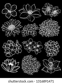 Decorative  flowers set, design elements. Can be used for cards, invitations, banners, posters, print design. Floral background in line art style