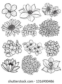 Decorative  flowers set, design elements. Can be used for cards, invitations, banners, posters, print design. Floral background in line art style