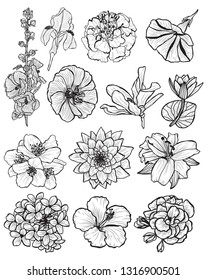 Decorative  flowers set, design elements. Can be used for cards, invitations, banners, posters, print design. Floral background in line art style