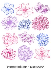 Decorative  flowers set, design elements. Can be used for cards, invitations, banners, posters, print design. Floral background in line art style