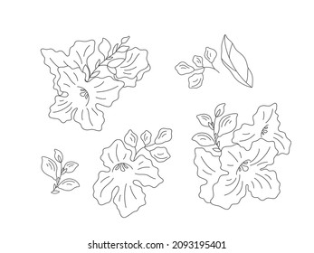 Decorative flowers set - a sprig (Chitalpa tashkentensis), flowers and leaves on a white background, flat illustration. Set for your elegant design compositions. Line art vector illustration.