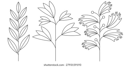 Decorative foliage sketches created with clean linework and balanced botanical forms. The collection offers versatile organic elements suitable for invitations, logos, sustainable branding, editorial layouts, and premium packaging concepts.