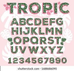 Decorative font with tropical leaf elements for headlines