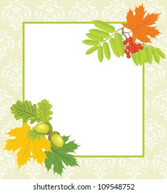 Decorative frame with acorns, rowan and maple leaves. Vector