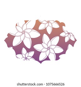 Decorative frame with floral design