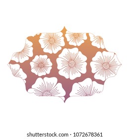 decorative frame icon