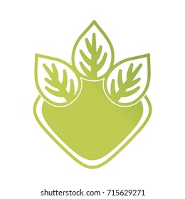decorative frame with leaves icon