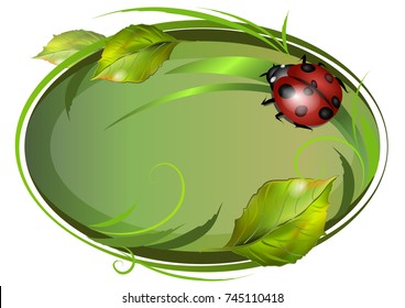 Decorative frame with leaves and ladybug. Vector illustration