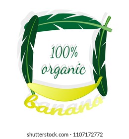 Decorative frame of leaves of palm tree and bananas, the text is an organic banana. Template can be used to design the market, logo, packaging, flyer. Vector illustration.