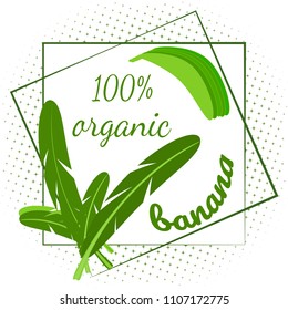 Decorative frame of leaves of palm tree and bananas, the text is an organic banana. Template can be used to design the market, logo, packaging, flyer. Vector illustration.