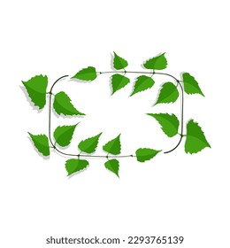 Decorative frame made of thin birch twigs and green leaves. Floral ornament for the design and decoration of invitations and posters. Rectangular frames. Vector