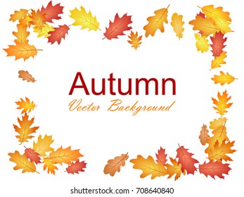 Decorative frame of oak tree autumn foliage vector on white. Oak leaf abstract border background seasonal vector illustration. Autumn leaves falling graphic design. Fall season specific frame vector.
