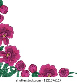 Decorative  frame. Peonies. Hand drawn illustration. Card design.
