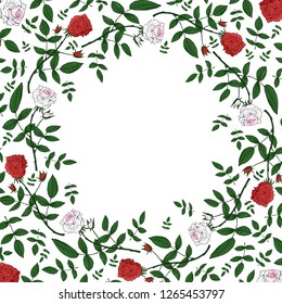 Decorative frame of red and white roses on a white background. Flowers and buds of roses. Wedding flowers. Flower frame. A wreath of roses.