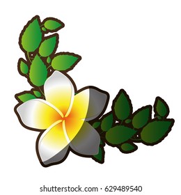 decorative frame silhouette shading of single malva flower with leaves vector illustration