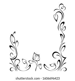 Decorative frame with a stylized flower Bud on a stem with leaves and curls in black lines on a white background