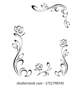 decorative frame with stylized flower buds on stems with leaves and vignettes in black lines on a white background