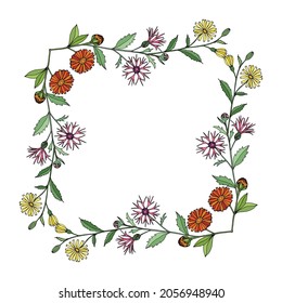Decorative frame template with an ornament of bouquets of wild flowers calendula, daisy, chamomile. 