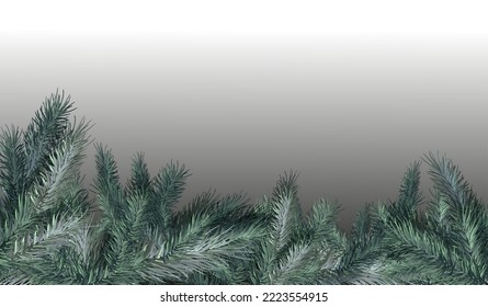Decorative frame from vector christmas tree, pines on dark background