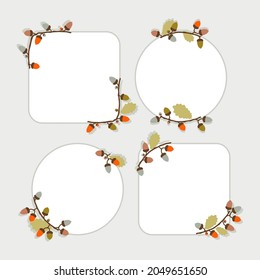 Decorative frames from botanical elements of acorns and copy space. Vector illustration set of template for scrapbooking and design.