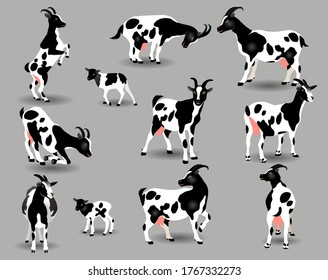 Decorative frames.White goats with black spots in different poses on a gray background.

