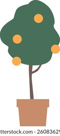 Decorative fruit tree in pot