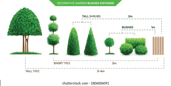 Decorative garden bushes distance composition distance of tall tree with short and bushes vector illustration