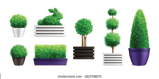 Decorative garden bushes in pots icon set with different pots styles and sizes of bushes vector illustration