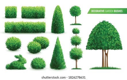 Decorative garden bushes realistic icon set with different shapes styles and types vector illustration