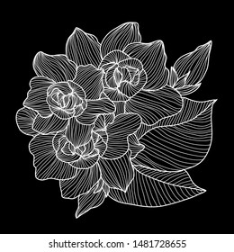Decorative gardenia flowers, design elements. Can be used for cards, invitations, banners, posters, print design. Floral background in line art style