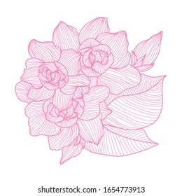 Flores de jardinia decorativas, elementos de diseño. Se puede utilizar para tarjetas, invitaciones, banners, carteles, diseño de impresión. Antecedentes florales en estilo de arte lineal