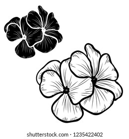 Decorative geranium flowers set, design elements. Can be used for cards, invitations, banners, posters, print design. Floral background in line art style