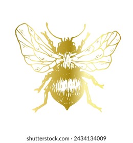 Decorative golden bee, winged insect. Vector graphics.