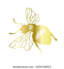 Decorative golden bee, winged insect. Vector graphics.