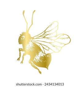 Decorative golden bee, winged insect. Vector graphics.