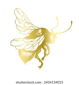 Decorative golden bee, winged insect. Vector graphics.