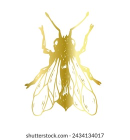 Decorative golden bee, winged insect. Vector graphics.