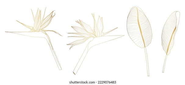 Decorative golden line strelitzia flowers set, design elements. Can be used for cards, invitations, banners, posters, print design. Floral background in line art style.