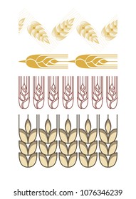 Decorative grain ears to create design compositions. The Jewish holiday of Shavuot. Symbols of the harvest and agriculture. Golden ears of wheat will decorate your product.
