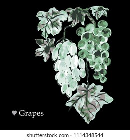 Decorative grapes, design elements. Can be used for cards, invitations, banners, posters, print design. Fruit background in watercolor style