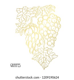 Decorative  grapes, design elements. Can be used for cards, invitations, banners, posters, print design. Golden flowers