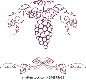Decorative grapes & vine vector ornament